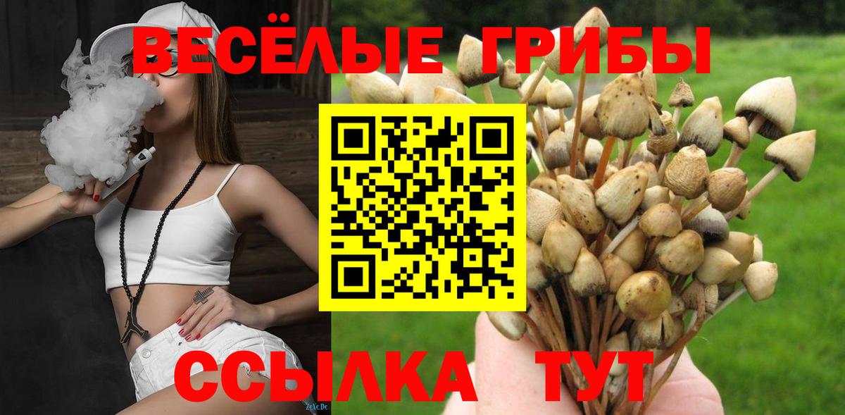 даркнет сайт  Вход с VPN  Кемерово  Галлюциногенные грибы GOLDEN TEACHER 